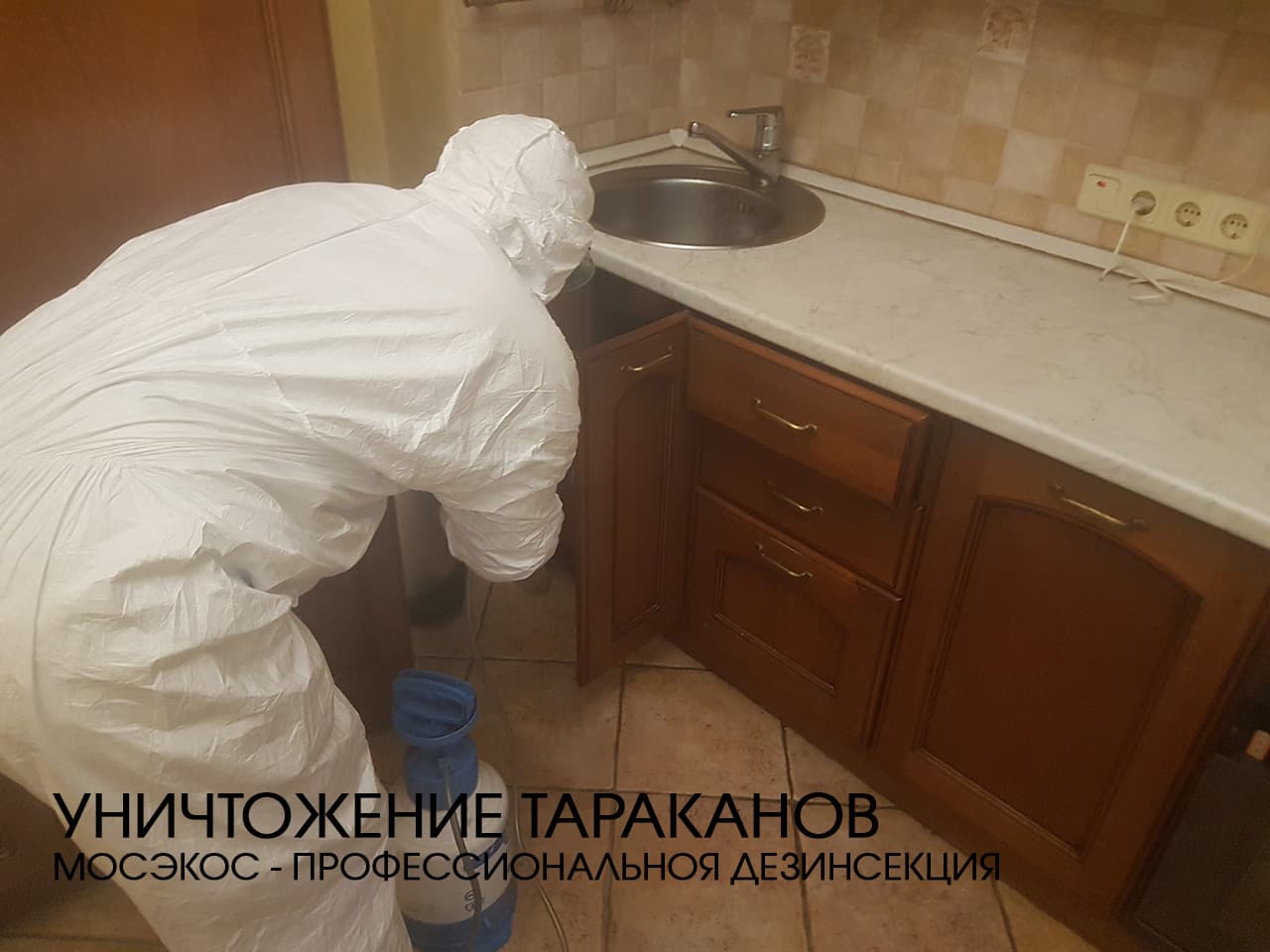 Служба по уничтожению тараканов в Солнечногорске