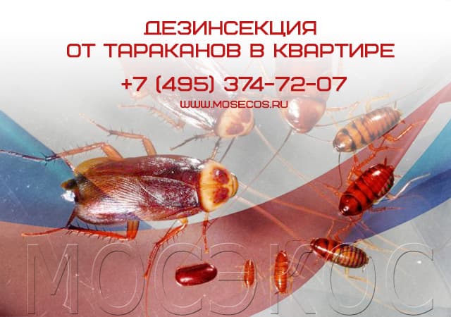Дезинсекция от тараканов в квартире в Солнечногорске