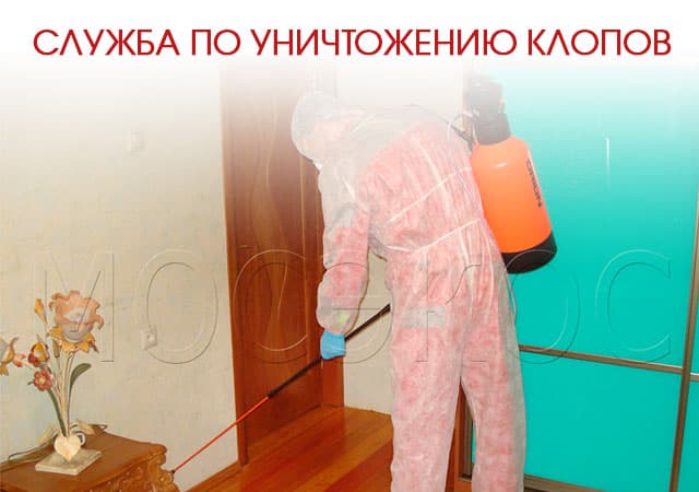 Служба по уничтожению клопов в Солнечногорске