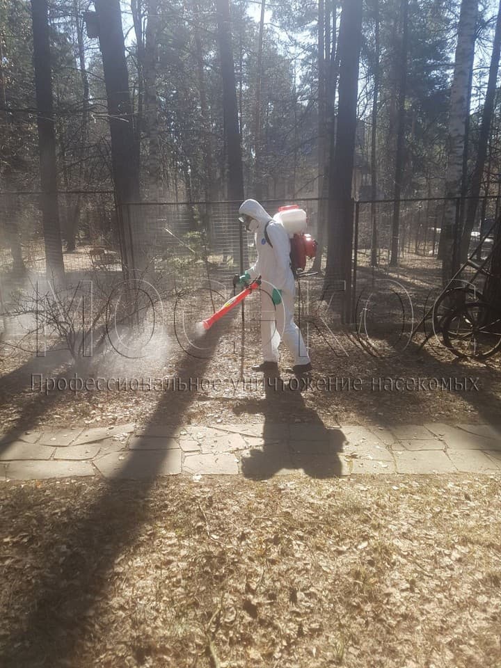 Уничтожение клещей на участке в Солнечногорске