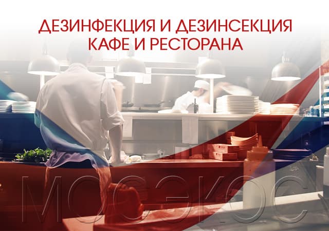 Дезинсекция предприятия общественного питания в Солнечногорске
