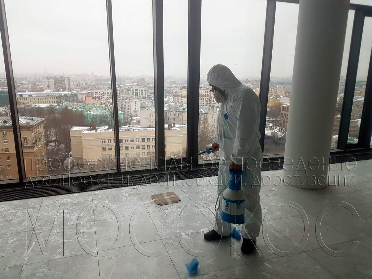 Пест-контроль (Pest Control) в Солнечногорске